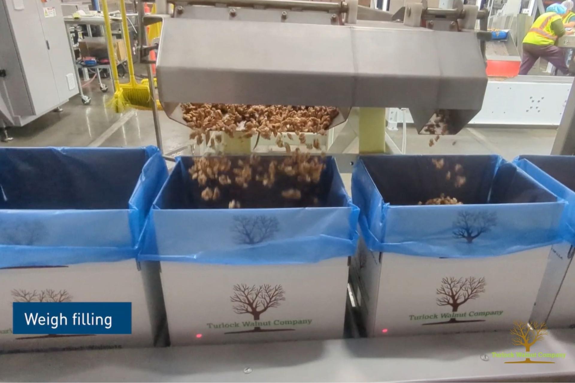 Turnkey solution for Bag-in-Box Walnuts 